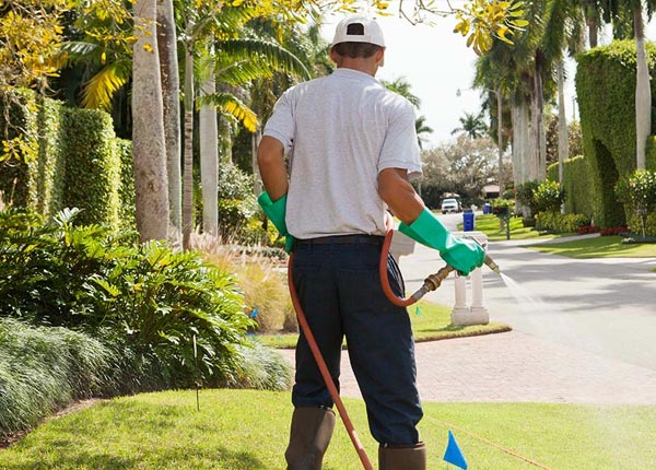 About Canton MI Pest Control Pros